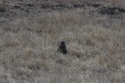 DSC_3591 (Large).JPG